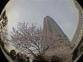 都庁HDRPhotoCamera.jpg