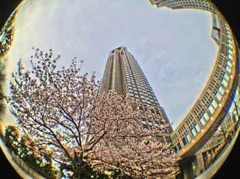 都庁iCamera.jpg